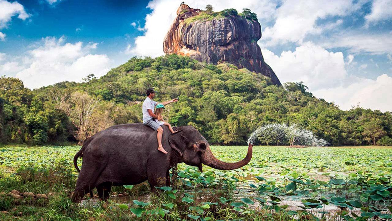 Remove term: round trips around Sri Lanka round trips around Sri Lanka